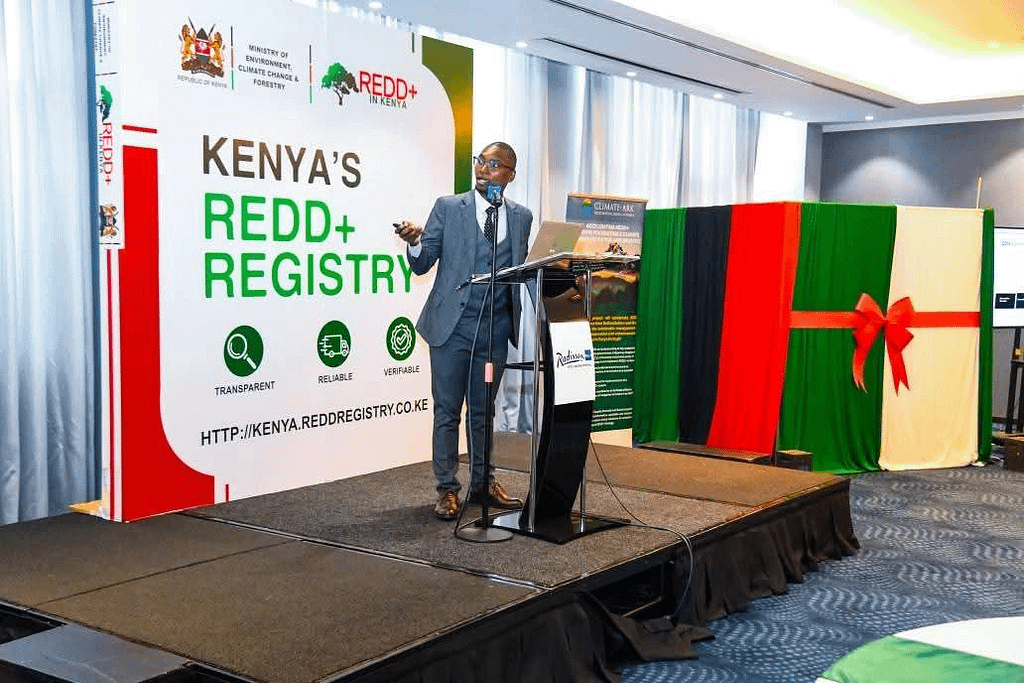 Kenya Leads Africa with First-Ever REDD+ Registry to Save Forests and Earn from Carbon