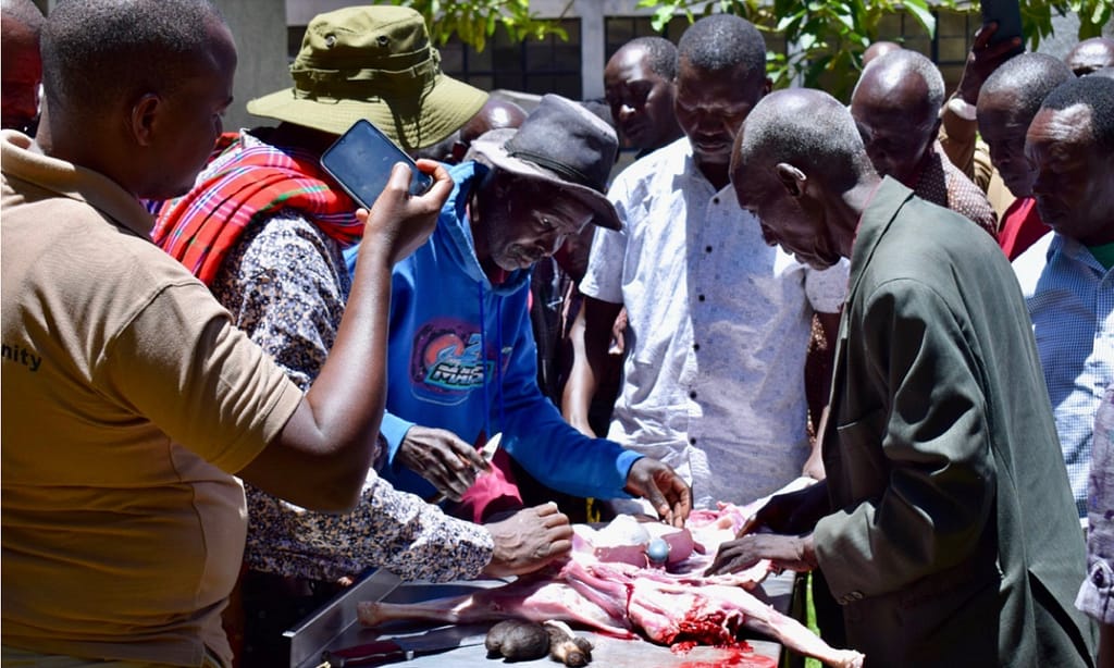 Traditional Weather Forecasting by Samburu Elders Matches Modern Science