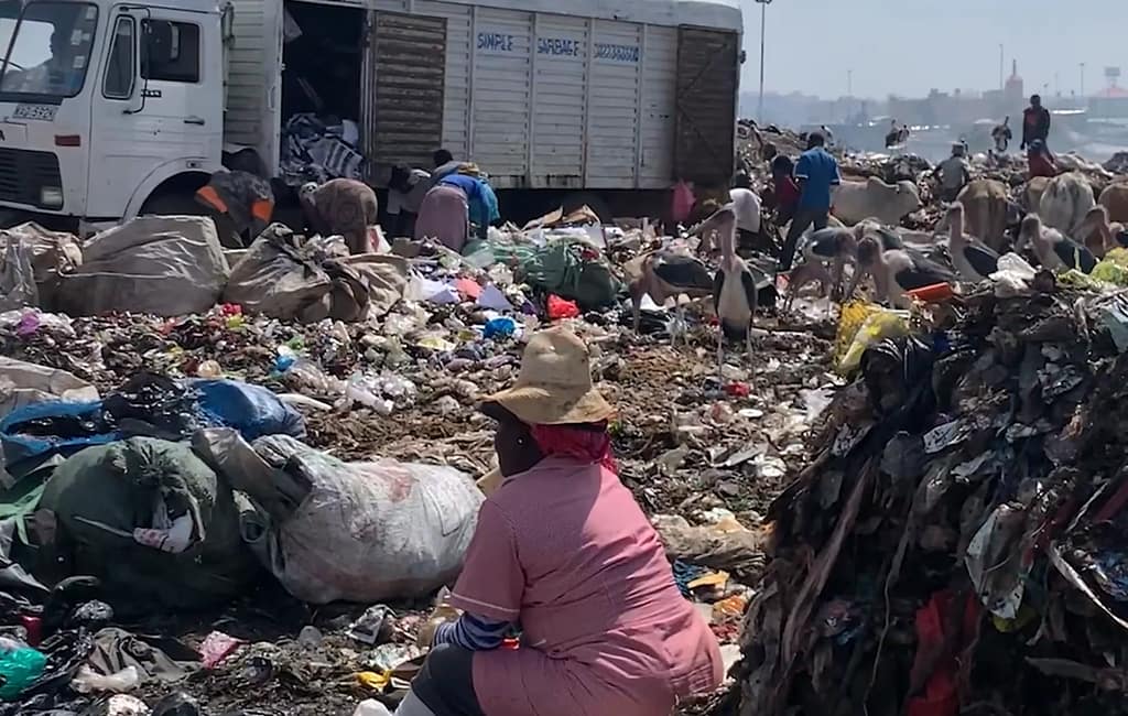 Plastic pollution: Protecting the Rights and Health of Waste Pickers in Dandora