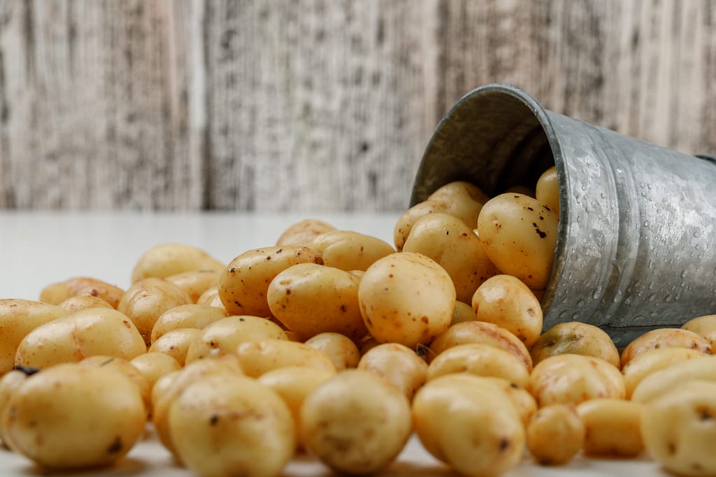 Alarming High Levels of Pesticide Residues Found in Potatoes Consumed in Kenya