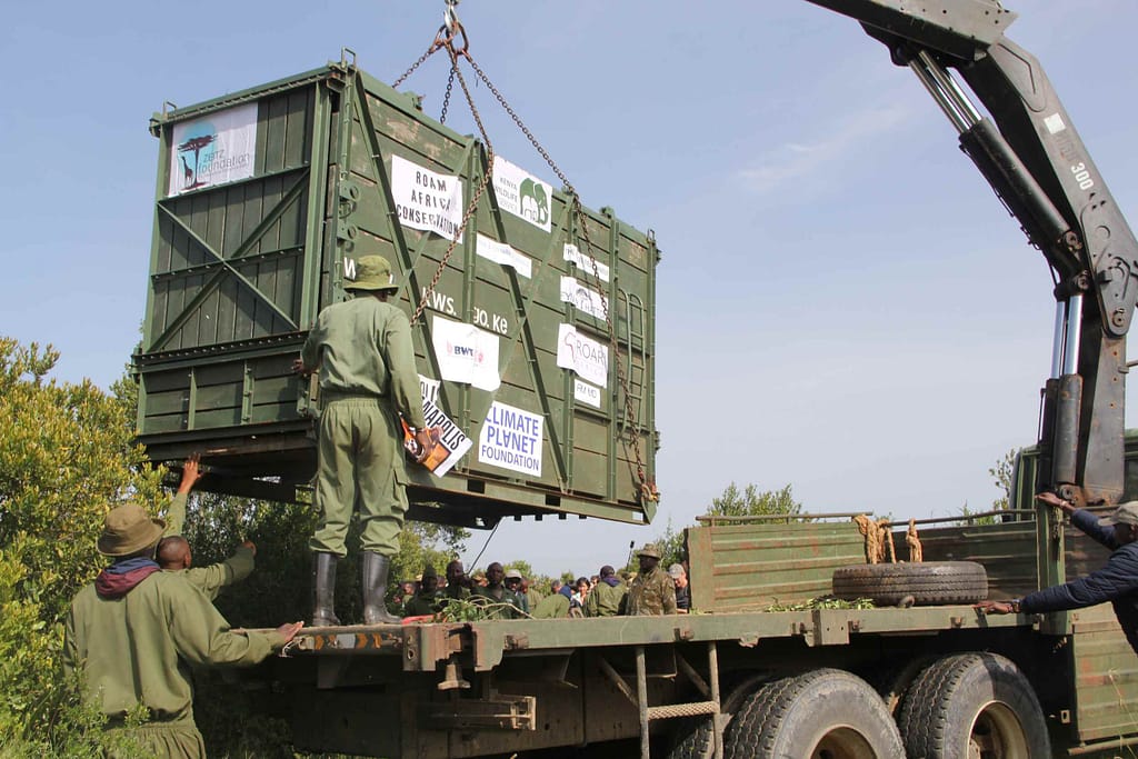 Kenya Adds 18th Rhino Sanctuary with Segera Move ?