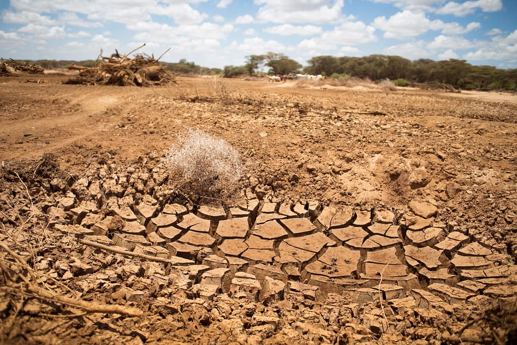 Kenya Climate Resilience Strategy Faces Scrutiny as Key Counties Miss Funding