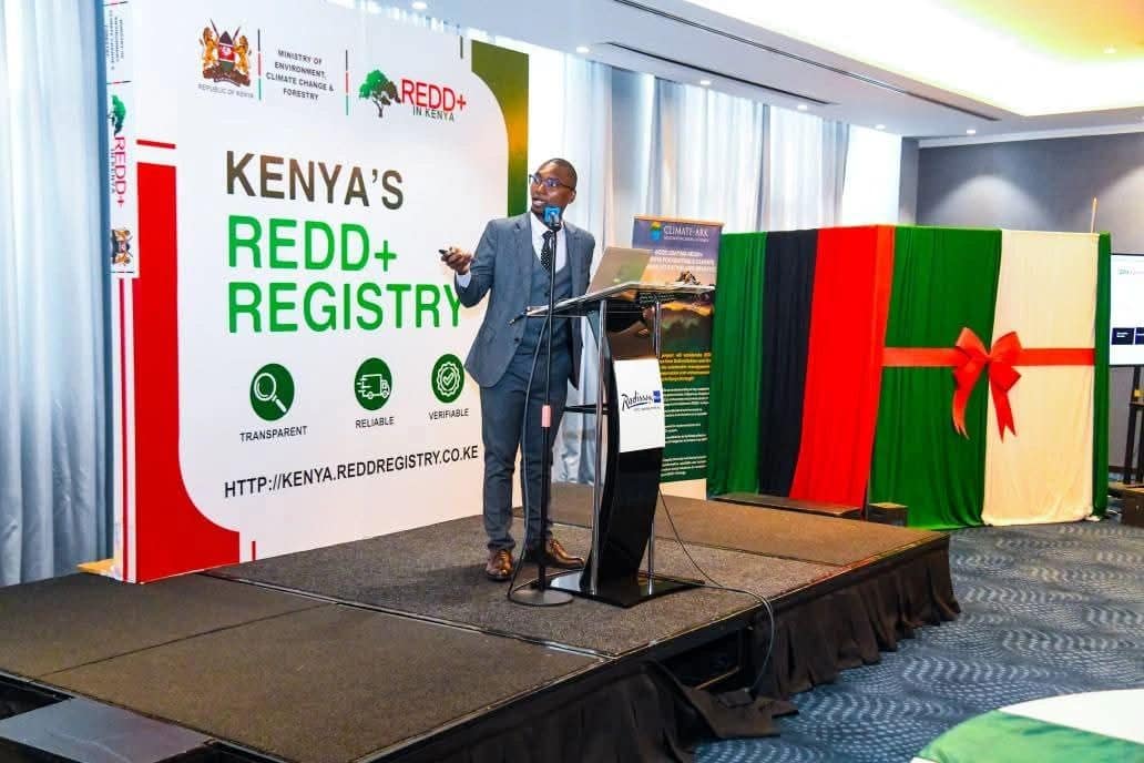 Kenya Leads Africa with First-Ever REDD+ Registry to Save Forests and Earn from Carbon