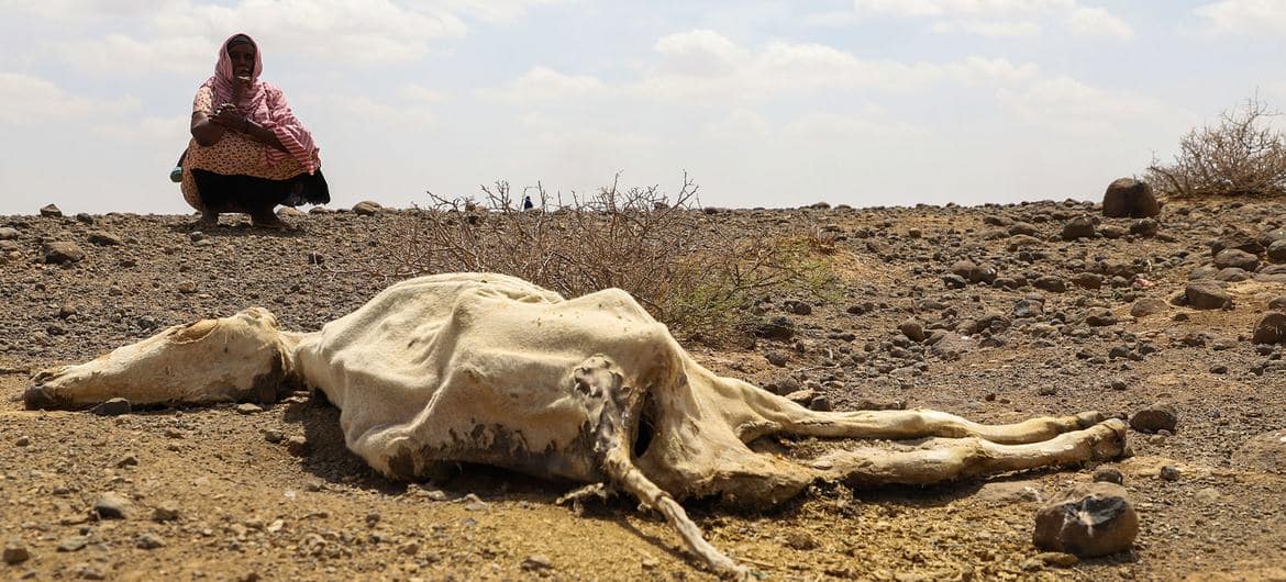 Drought Puts Food Energy and Water at Risk in Kenya and the Horn of Africa