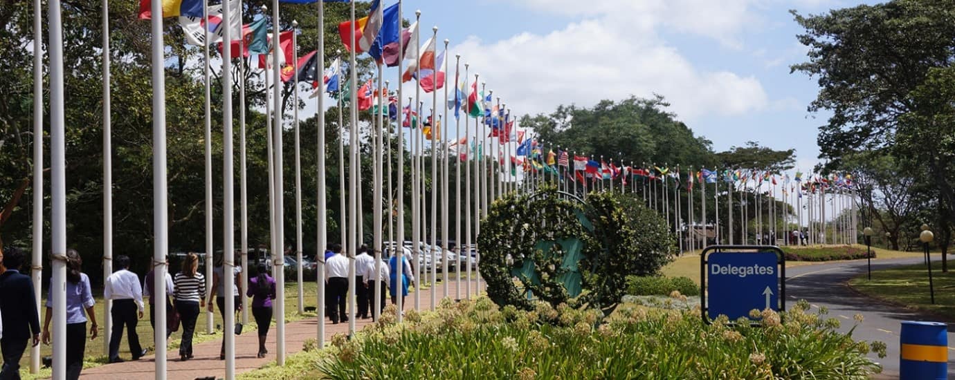 Africa Demands Fair Climate Finance at UNEA-7