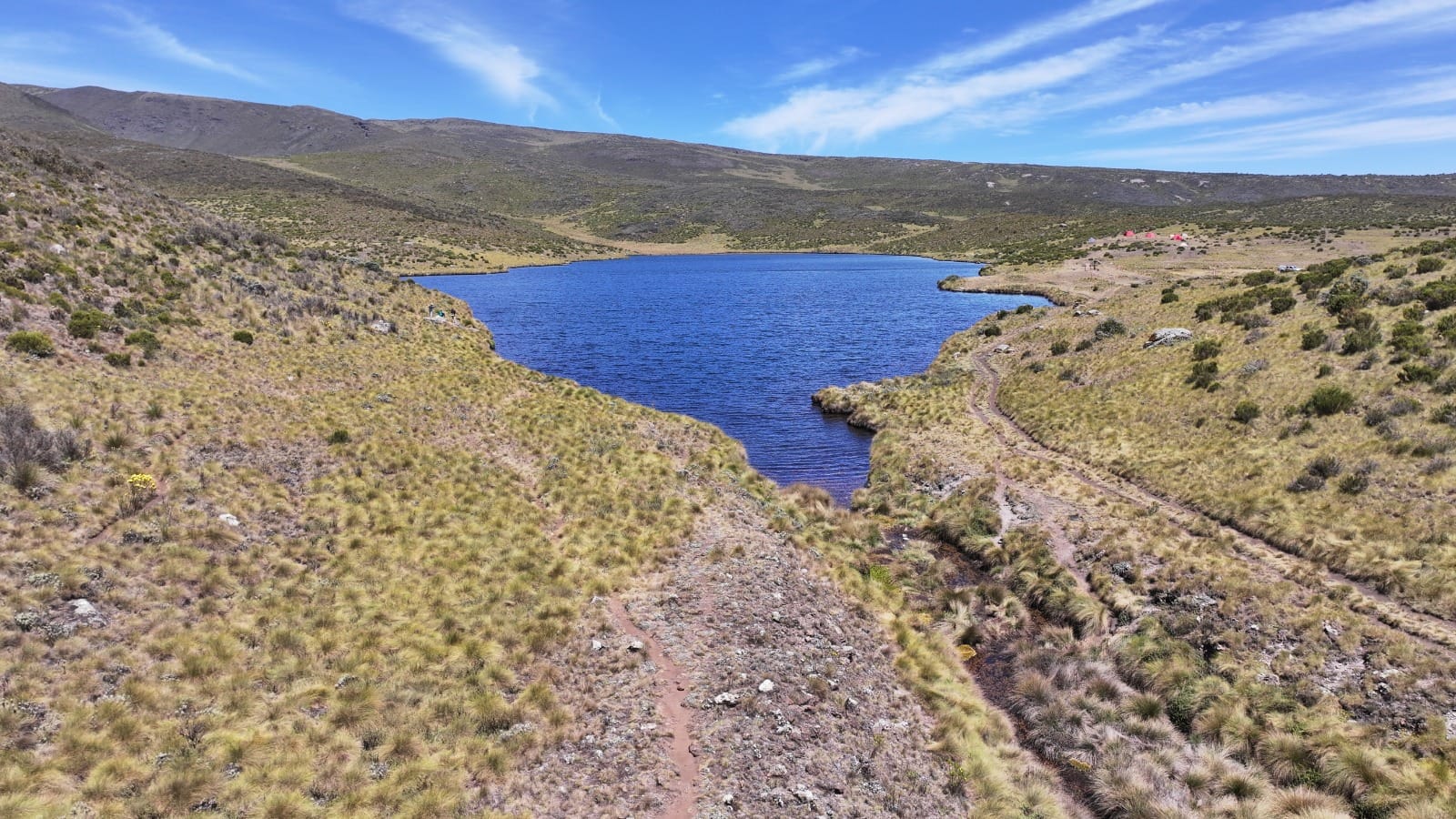 Mt Kenya Melting Glaciers and Deadly Invasive Weeds