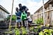 UNESCO Says 96,000 Schools Worldwide Have Adopted Its Green Practices