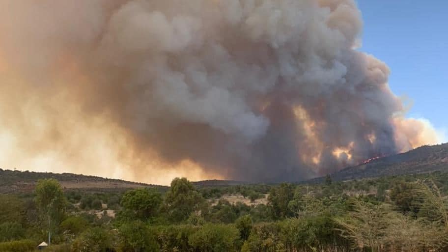 Britain’s KES 500 Million Payout Fails Lolldaiga Fire Victims and Biodiversity