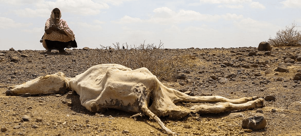 Drought Puts Food Energy and Water at Risk in Kenya and the Horn of Africa