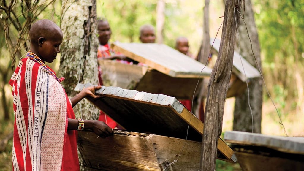 Empowering Women Through Beekeeping in Pastoralist Communities