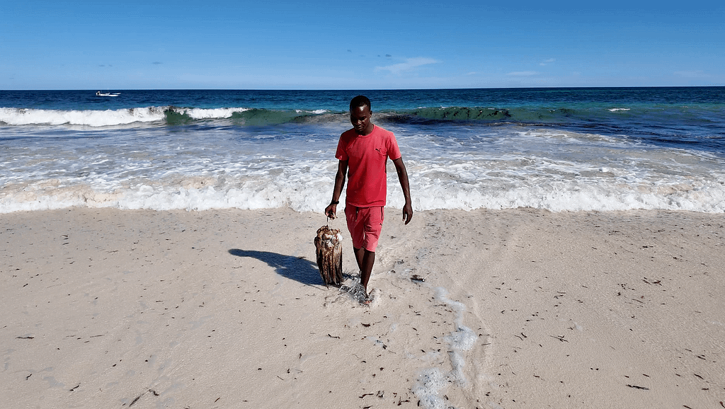 Impact of Kenya’s First Nuclear Power Plant Ambitions