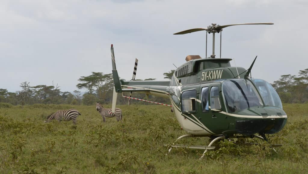 KWS Cracks Down on Wild Trafficking – From Ants to Bees