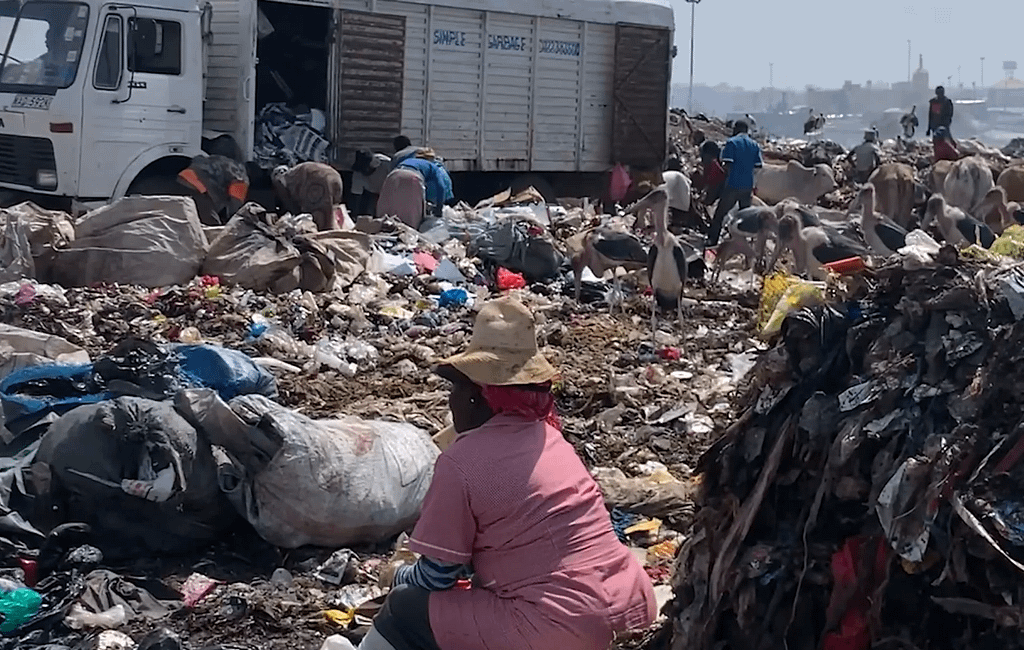 Plastic pollution: Protecting the Rights and Health of Waste Pickers in Dandora