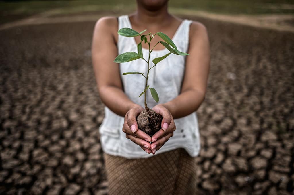 Women Rising to Heal the Earth
