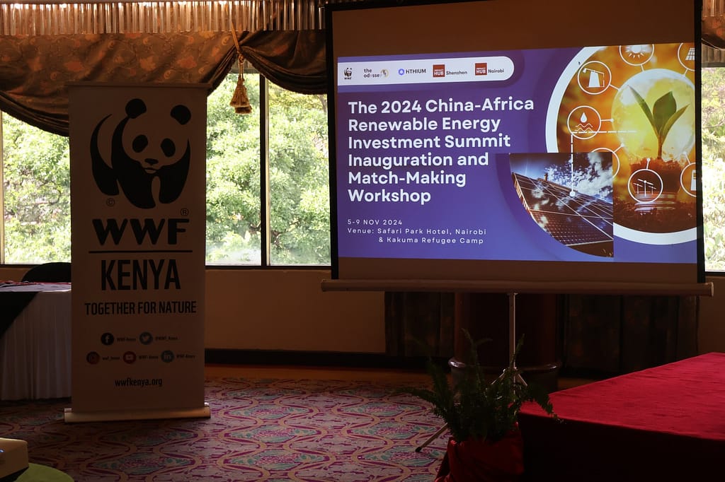 China-Africa Renewable Energy Summit Launches with Investor Matchmaking