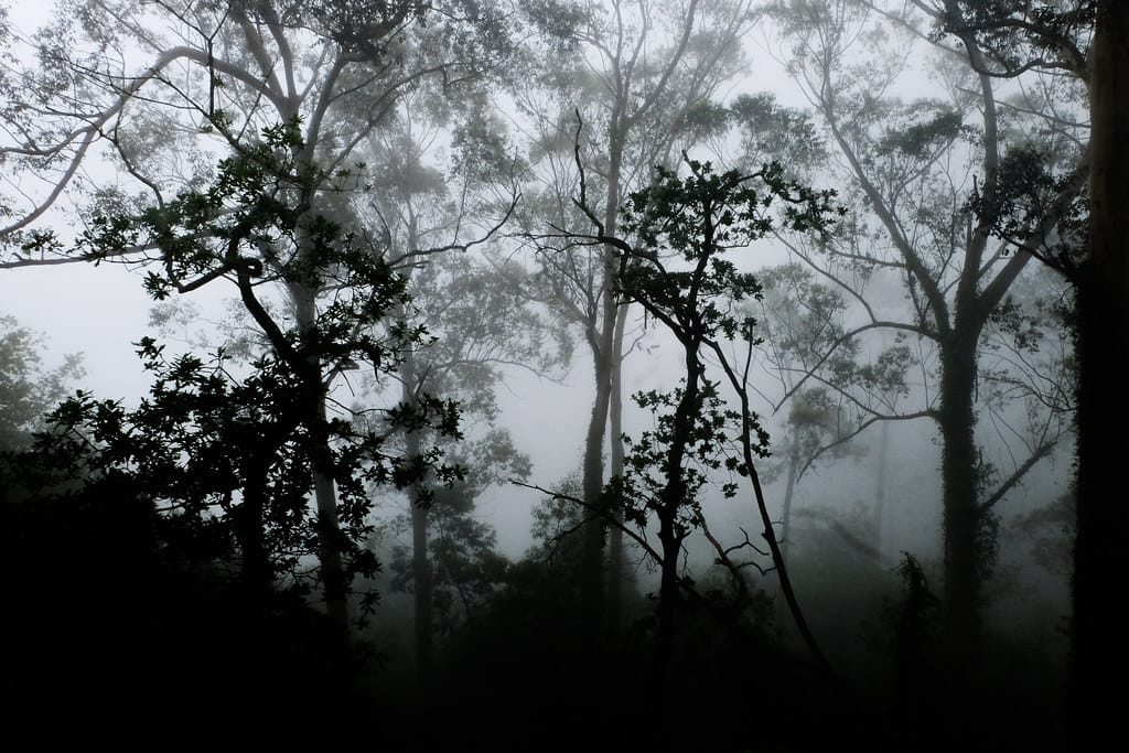 Kenya Needs KES 7 Trillion to Reduce GHG Emissions by 35%