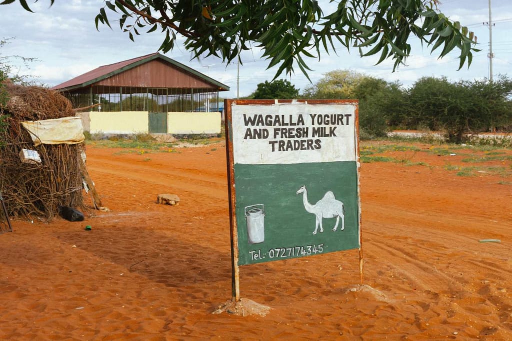 Wagalla Women Stir Resilience and Hope Through Natural Yoghurt