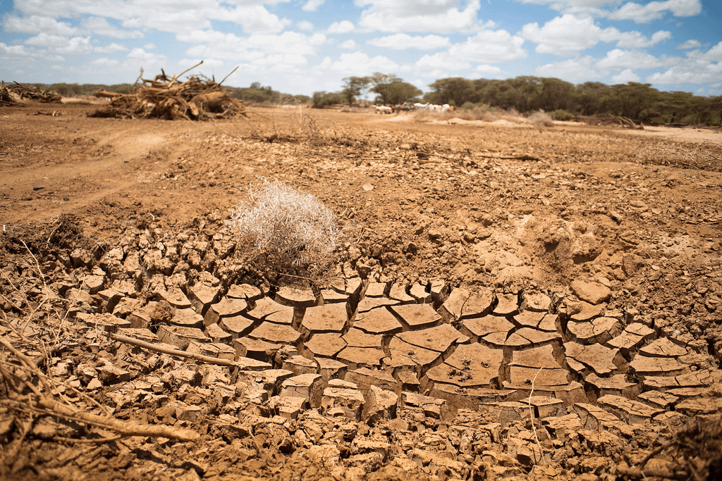 Kenya Climate Resilience Strategy Faces Scrutiny as Key Counties Miss Funding
