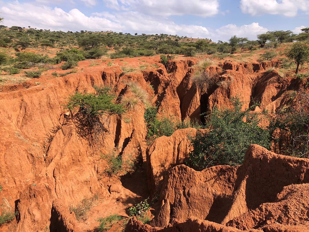 Kenya Warns of Severe Land Degradation Crisis