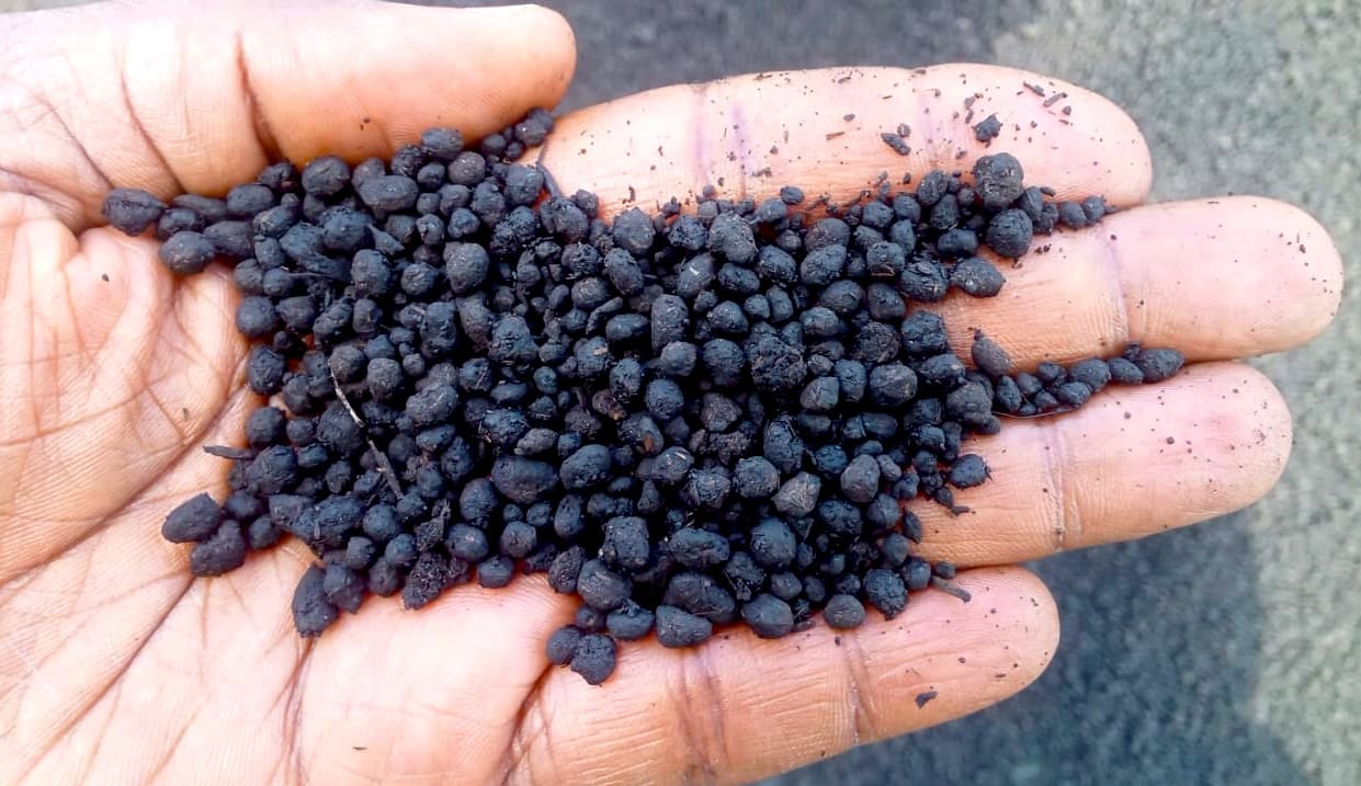 Bio Logical Uses Biochar to Fight Climate Change and Empower Farmers