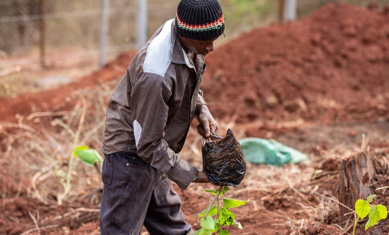 Counties Step Up Climate Action: Round Up
