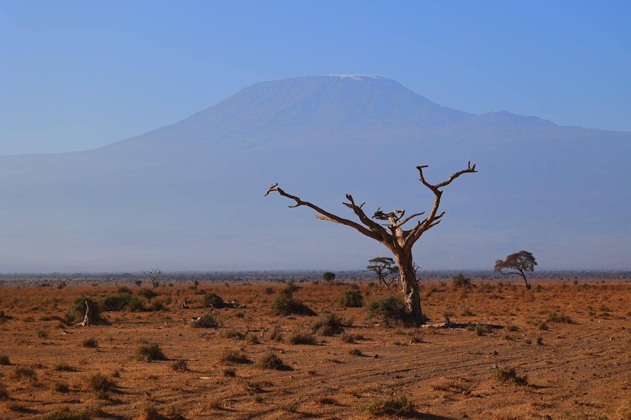 How Kenya Is Rewriting Its Future from Crisis to Resilience