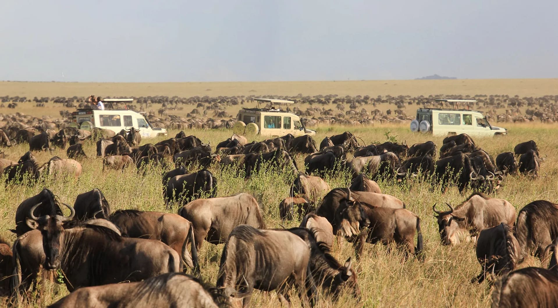 Maasai Mara Officially Included in the World Book of Records