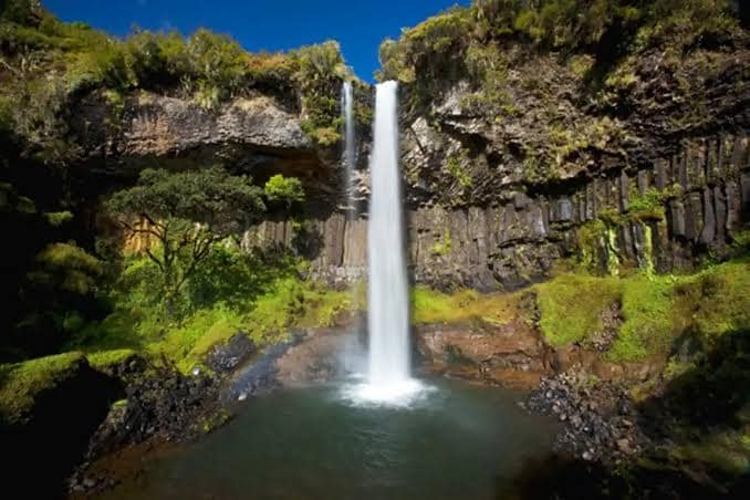 Uneven Bench to Decide Fate of Aberdare Ecosystem