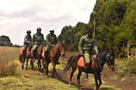 The Horsemen of Mt. Kenya