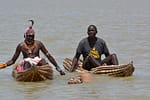 Swimming Cows of Baringo