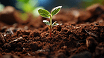 Boosting Farming with Soil Testing
