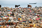 Plastics Are Now in Our Brains and East Africa Is not Spared