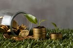 Kenya and South Africa Banks Drive Africa’s Green Finance Shift