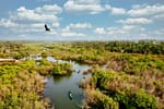 Wetlands, the Vanishing Lungs of Earth