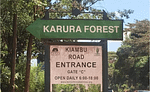 Karura Forest Entry Fees Rise Amid Fierce Management Dispute