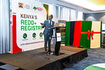 Kenya Leads Africa with First-Ever REDD+ Registry to Save Forests and Earn from Carbon