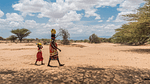 Is Kenya Truly Walking the Climate Talk