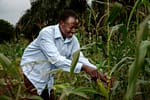 African Farmers Bearing the Climate Burden Alone