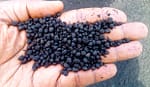 Bio Logical Uses Biochar to Fight Climate Change and Empower Farmers
