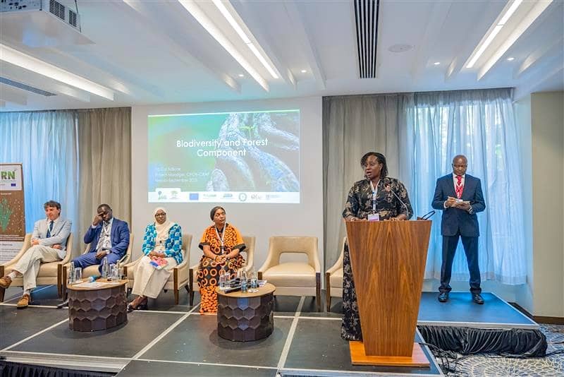 Experts Urge Data-Driven, Coordinated Efforts to Protect Africa’s Forests and Ecosystems
